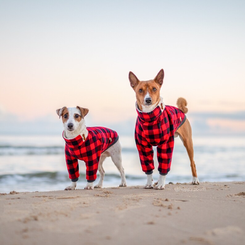 etsy custom dog sweaters