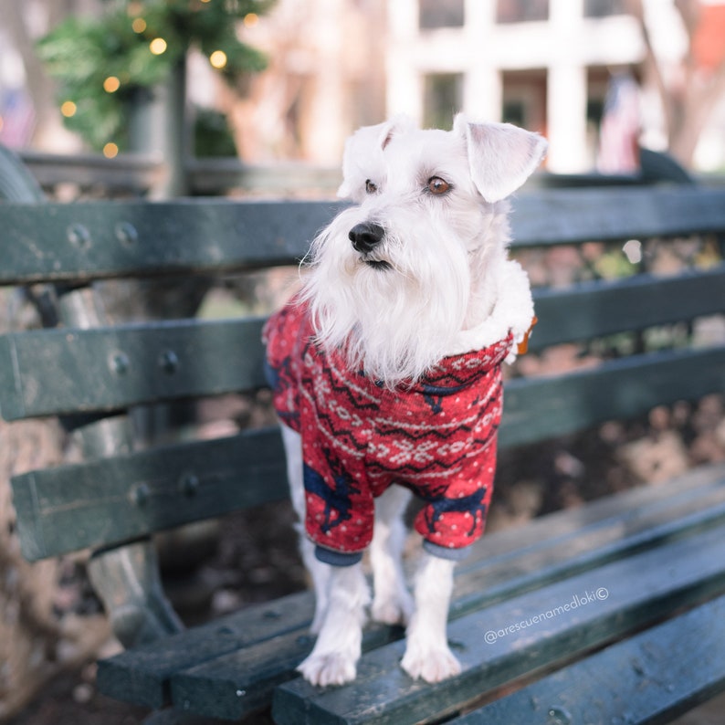 Fleece dog clothes Warm dog pullover Custom dog clothes dog Etsy