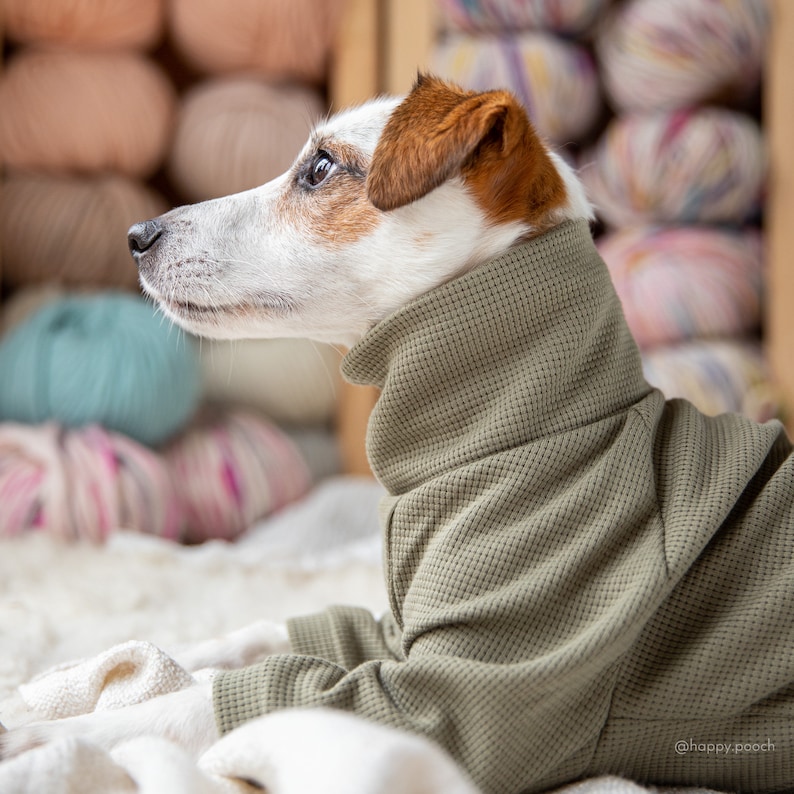Dog Jumper Madetomeasure Dog Sweater Waffle Jersey Dog Etsy