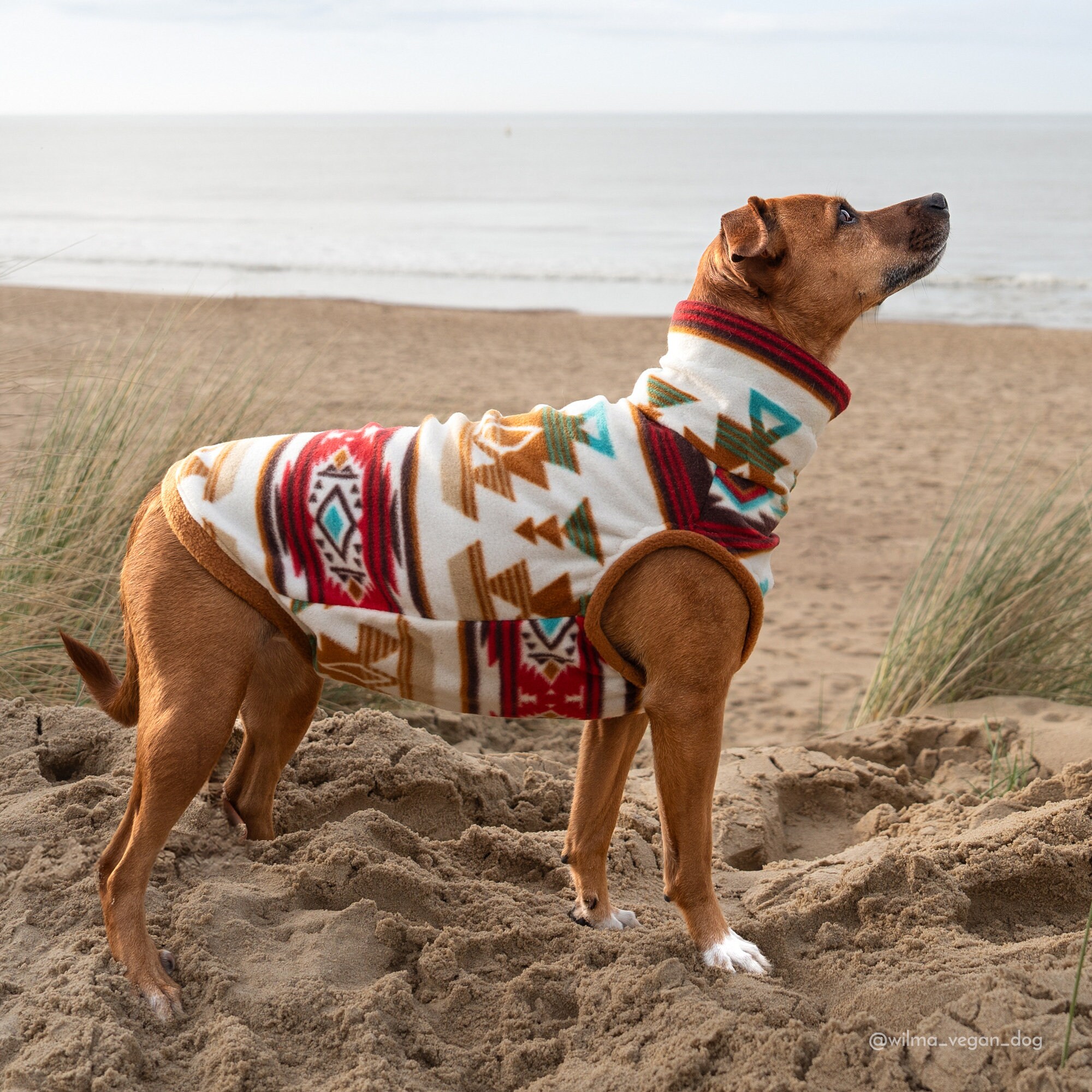 Dog Fleece Tanktop, Aztec Dog Sweater, Warm Dog Apparel, Dog Dog Fleece Tanktop, Aztec Dog Sweater, Warm Dog Apparel, Dog