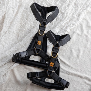 Y-harness, Made-to-measure webbing dog harness, Custom colour dog harness, Small large dog harness, Ergonomic harness, Sighthound harness