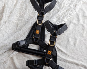 Y-harness, Made-to-measure webbing dog harness, Custom colour dog harness, Small large dog harness, Ergonomic harness, Sighthound harness