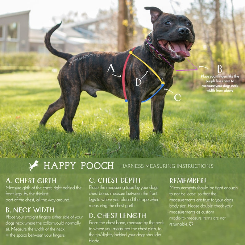 Adjustable Paracord Dog Harness Custom Dog Harness Walking Etsy