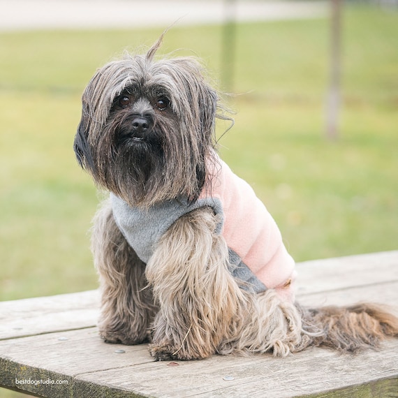 Hundepullover Aus Fleece Für Mittelgroße Hunde – Doppellagig, Mit Reißverschluss, Größe 08