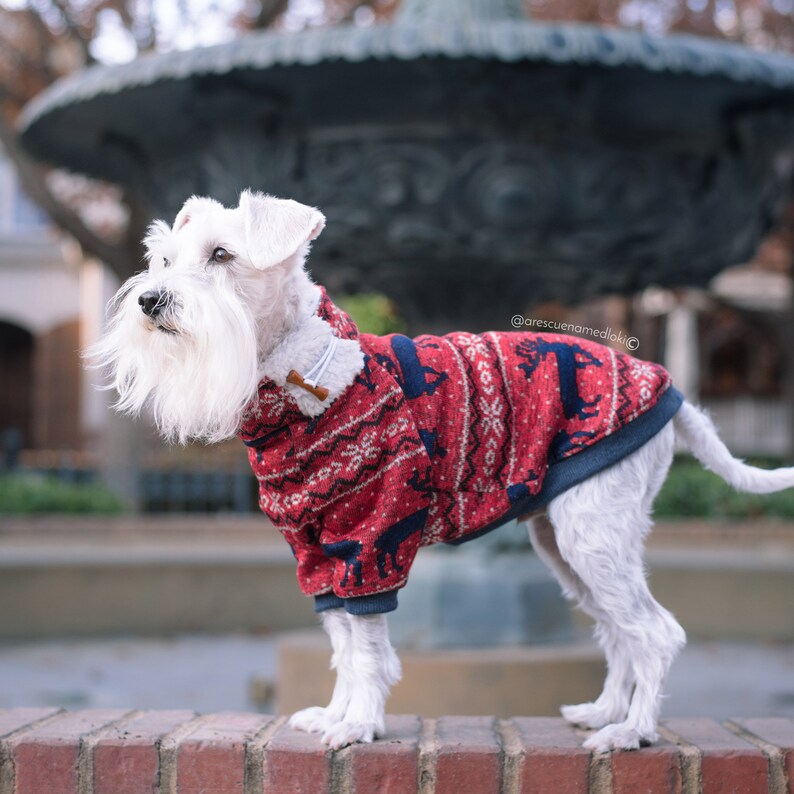 Fleece dog clothes Warm dog pullover Custom dog clothes dog Etsy