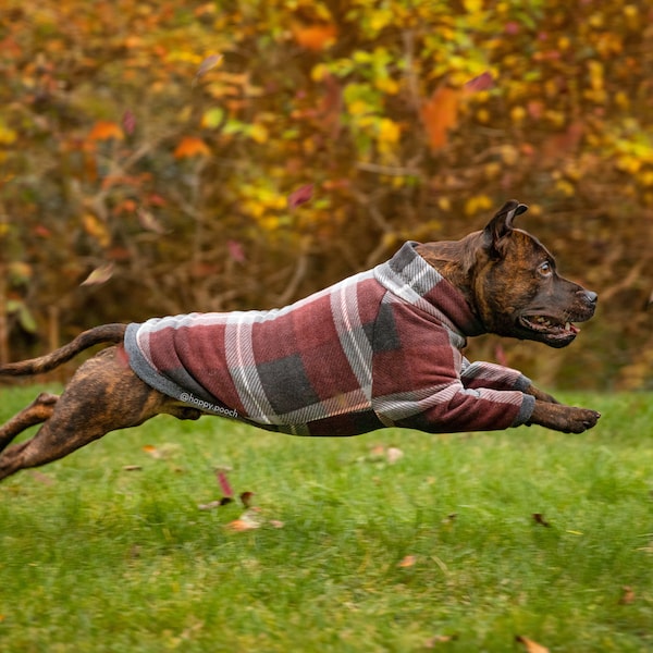 Manteau chaud pour chien en polaire tartan, manteau d’hiver, pyjama pour chien chaud, manteau raglan pour chien personnalisé, veste pour chien, vêtements pour chiens en polaire, manteau pour chien, FAIT SUR MESURE