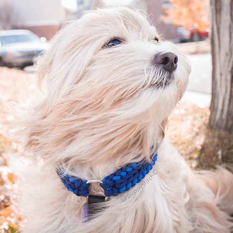 Adjustable Paracord Dog Harness Custom Dog Harness Walking Etsy