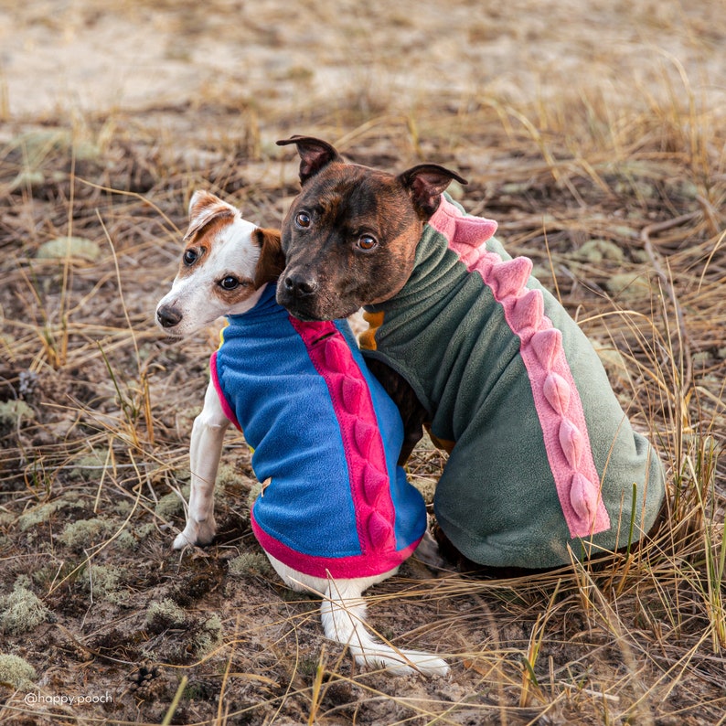 Dinosaur Dog Hoodie, Dino dog clothes, Warm Dog Sweater, Custom Dog Hoodie, Dog Jacket, Dino Fleece Dog Hoodie, Dog Coat, Dino dog PJs image 7