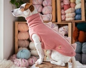 Dinosaur Dog Hoodie, Dino dog clothes, Warm Dog Sweater, Custom Dog Hoodie, Dog Jacket, Dino Fleece Dog Hoodie, Dog Coat