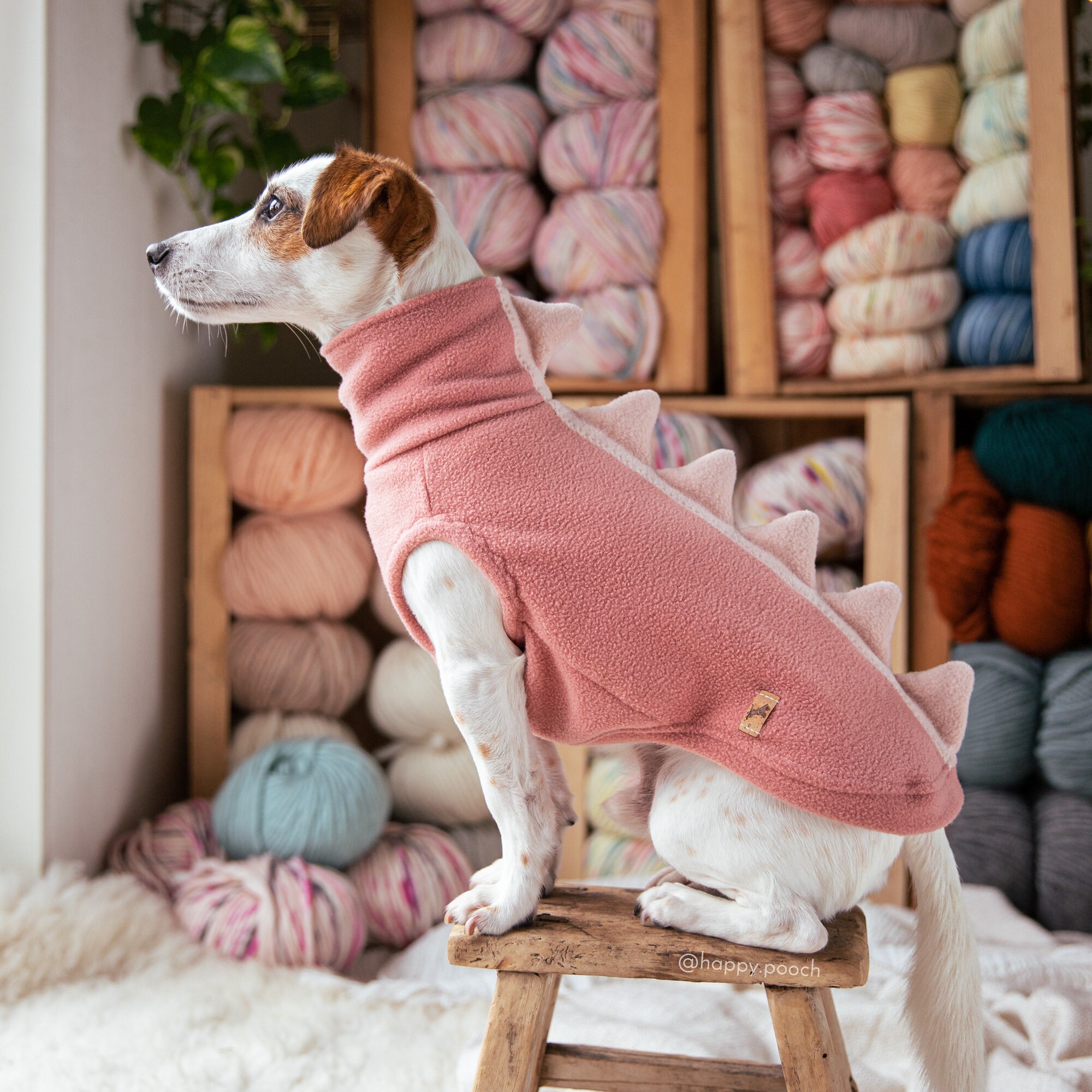 dinosaur dog sweater