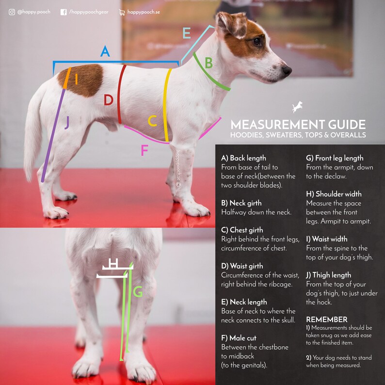 Dog Jumper Madetomeasure Dog Sweater Waffle Jersey Dog Etsy