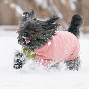 Pull raglan en polaire pour chien sur mesure, Pull pour chien, Veste Dock, Manteau pour chien, Grands chiens, Petits chiens Pull pour chien, Couleurs personnalisées image 9