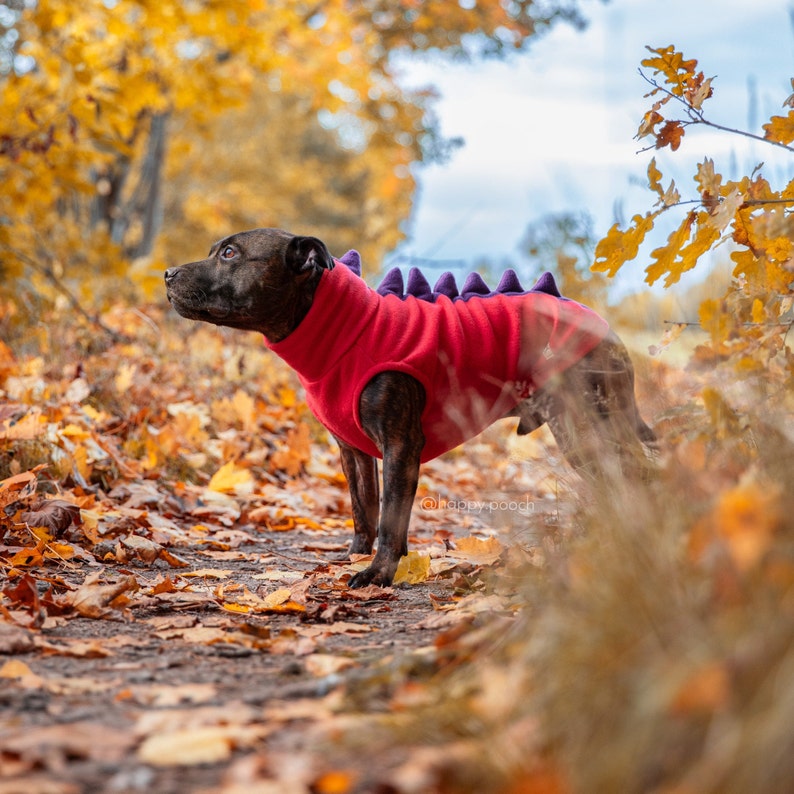 Dinosaur Dog Hoodie, Dino dog clothes, Warm Dog Sweater, Custom Dog Hoodie, Dog Jacket, Dino Fleece Dog Hoodie, Dog Coat, Dino dog PJs image 9