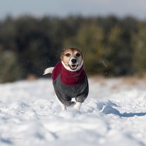 Pull raglan en polaire pour chien sur mesure, Pull pour chien, Veste Dock, Manteau pour chien, Grands chiens, Petits chiens Pull pour chien, Couleurs personnalisées image 6