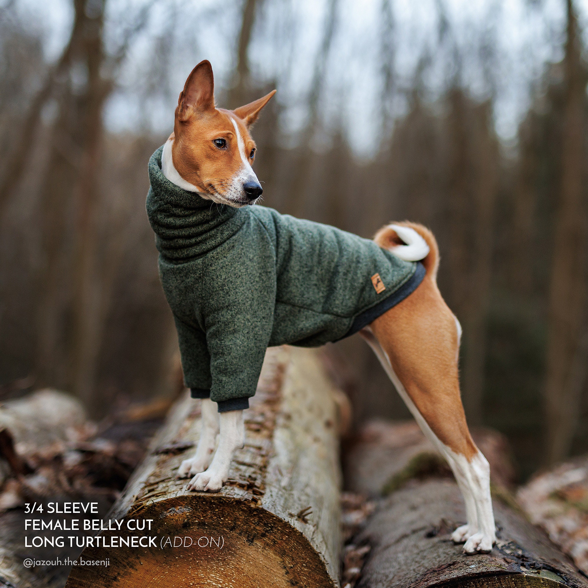 2er Set Hundepullover Für Kleine Hunde - Warme Winterkleidung Mit D-Ringen