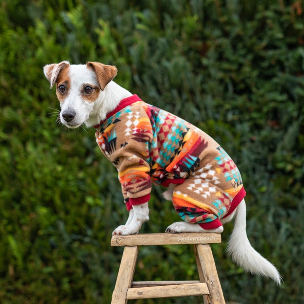 Pyjama pour chien, manteau en polaire sud-ouest pour chien, pyjama pour chien, pyjama pour chien personnalisé, vêtements en polaire pour chien, manteau pour chien, pyjama chaud pour chien, salopette pour chien