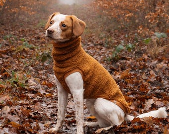Custom Fit Teddy Fleece Dog Sweater: Sherpa Pullover, Faux Fur