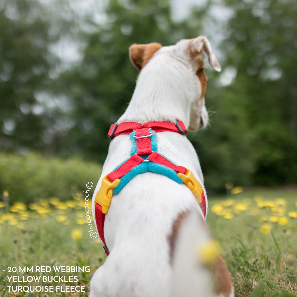 bing Dog Harness Custom Dog Harness Adjustable Dog Etsy