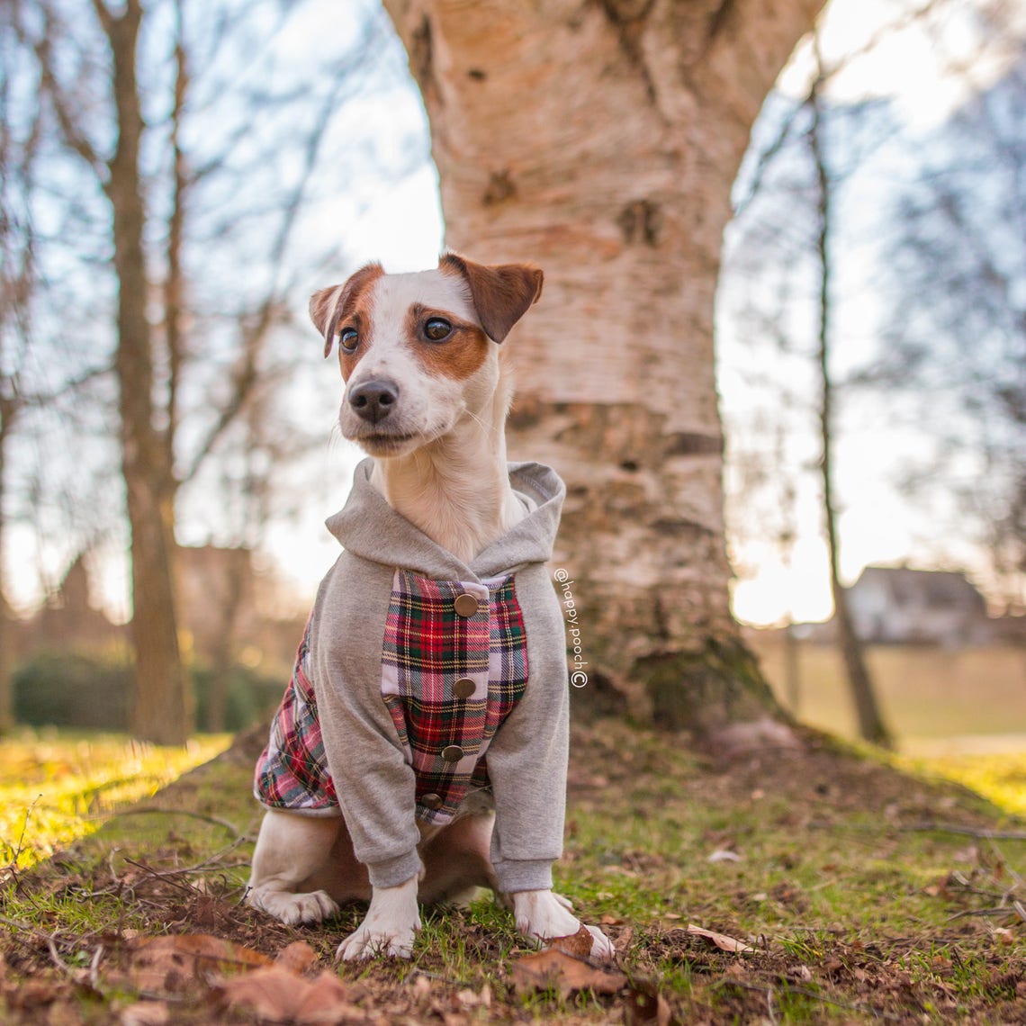 Original Flannel Dog hoodie Dog jacket Dog clothing Puppy Etsy