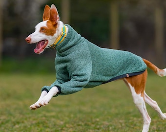 Warm dog coat, Dog sweater, Winter coat, Warm Dog pajama, Custom Dog Raglan Coat, Dog Jacket, Dog sweater for large and small dogs, CUSTOM
