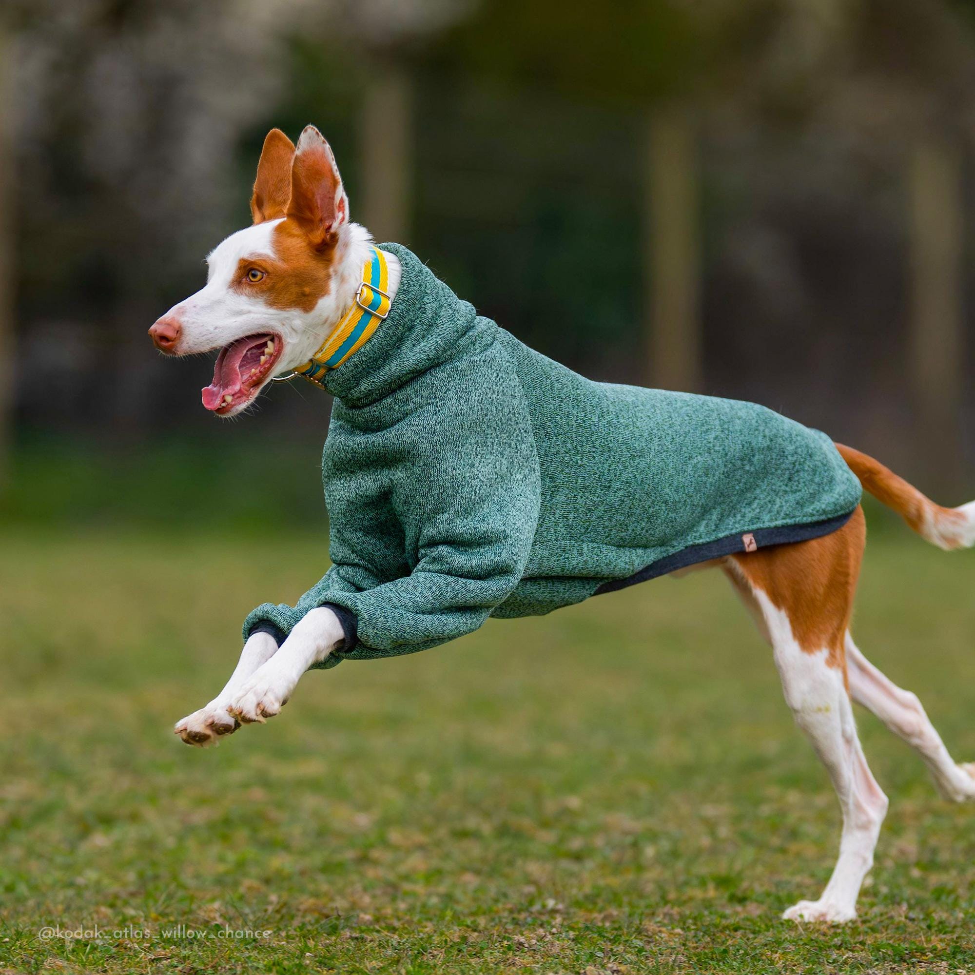 暖かい犬用コート、犬用セーター、冬用コート、暖かい犬用パジャマ 