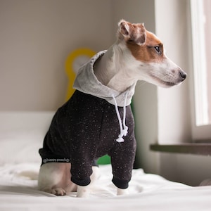 Vêtements pour chiens sweat-shirt, Hundemantel, Sweat à capuche étoilé nightdog, Vêtements pour chiens personnalisés, pull pour chien, hundemantel, Veste pour chien, Manteau pour chien, Toutes races image 1