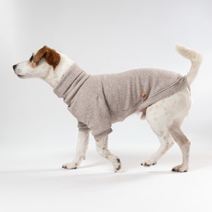 May include: A white and brown dog wearing a beige waffle knit sweater. The dog is standing on a white background and looking to the left.