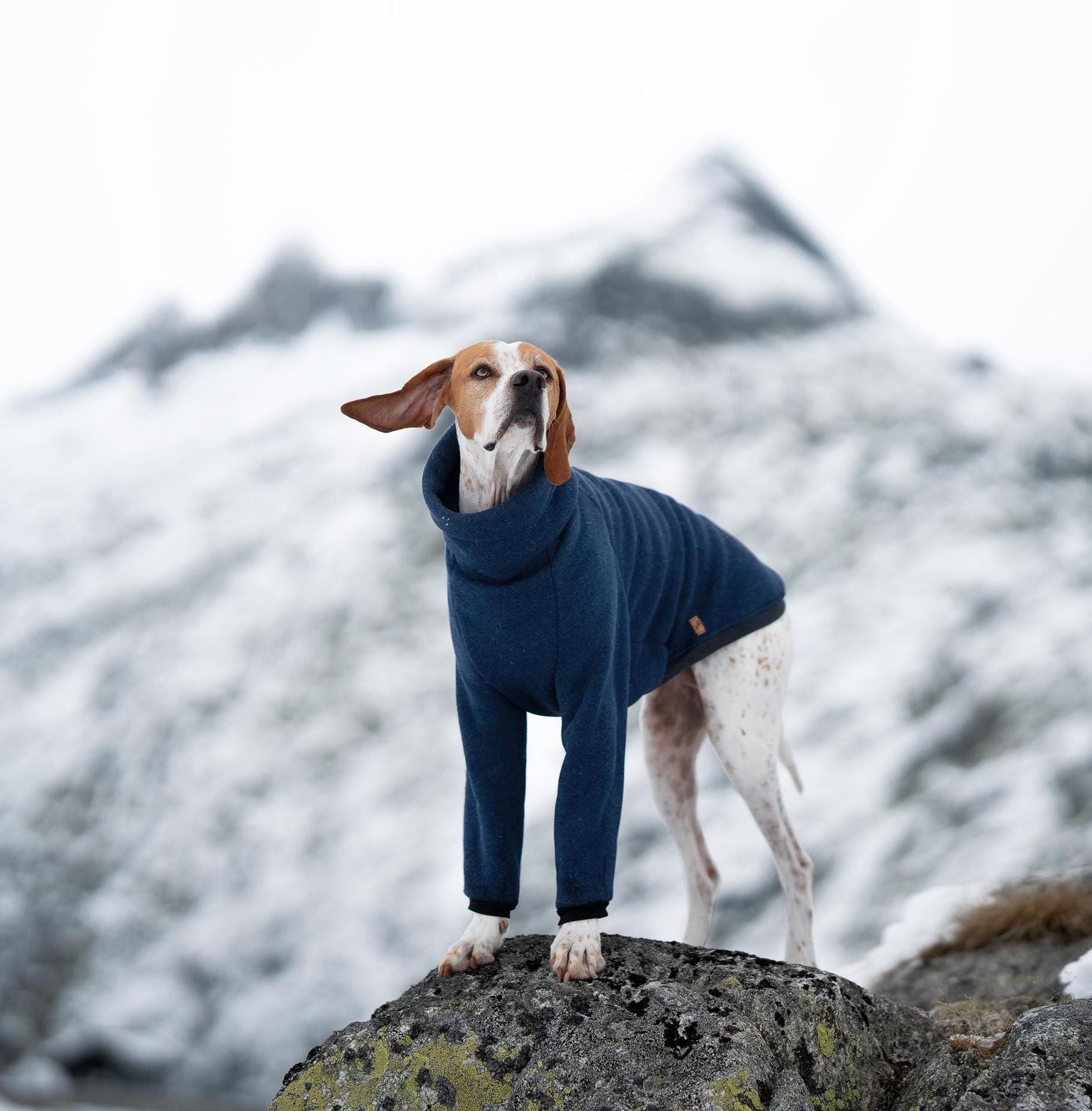 Manteau Chaud D'Hiver Pour Chien - Pyjama Doux Pour Chiens Moyens Et Grands, Bleu, Taille XXXL