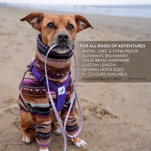 Biothane Dog Leash: Waterproof Vegan Leather with Brass Hardware image 4