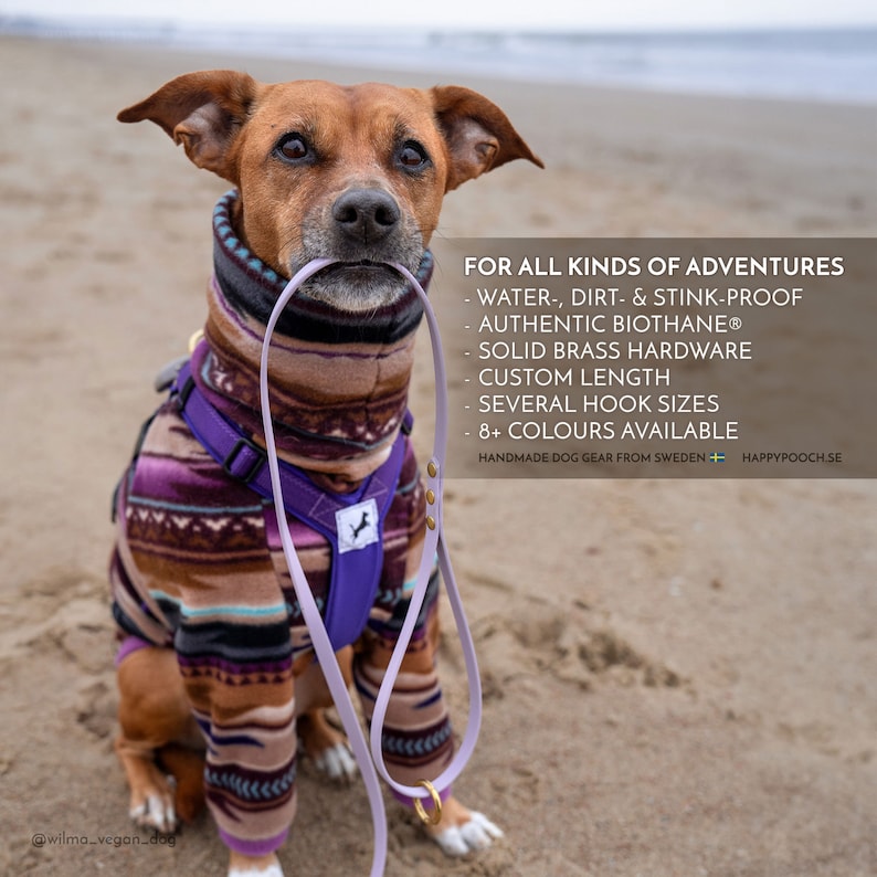 Biothane Dog Leash: Waterproof Vegan Leather with Brass Hardware image 4
