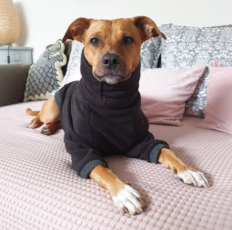 Made-to-measure dog fleece raglan sweater, Dog Pullover, Dock Jacket, Dog coat, Large dogs, Small dogs Dog pullover, Custom colours image 8