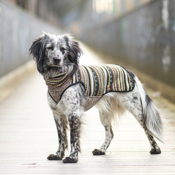 equafleece dog tankie