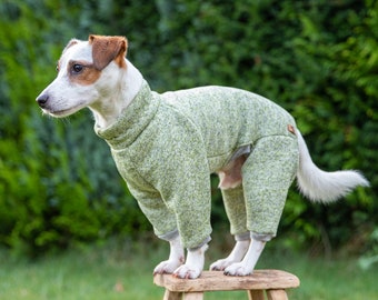 Salopette chaude pour chien, pull pour chien, manteau d'hiver, pyjama chaud pour chien, manteau raglan personnalisé pour chien, veste pour chien, manteau en polaire pour chien, sur mesure