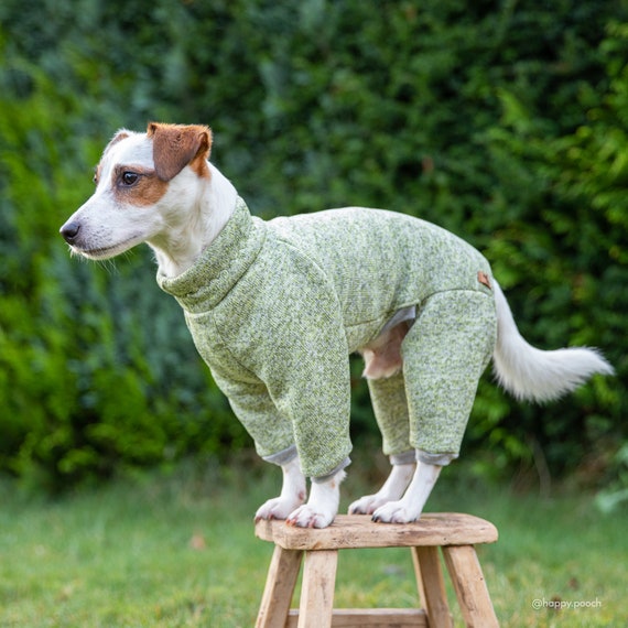 Warm Dog Overall Dog Sweater Winter Coat Warm Dog Pajama 