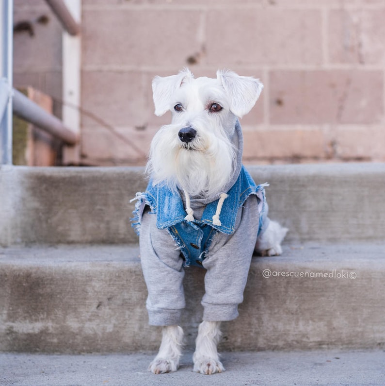 Raglan Dog Hoodie Dog Clothes Warm Dog Sweater Custom Dog Etsy