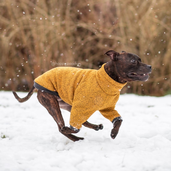 warm dog jumpers