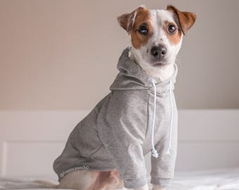 Raglan Hund Hoodie, Hundebekleidung, Warmer Hundepullover, Benutzerdefinierte Hunde Hoodie, Hundejacke, Sweatshirt Hund Hoodie, Hundemantel