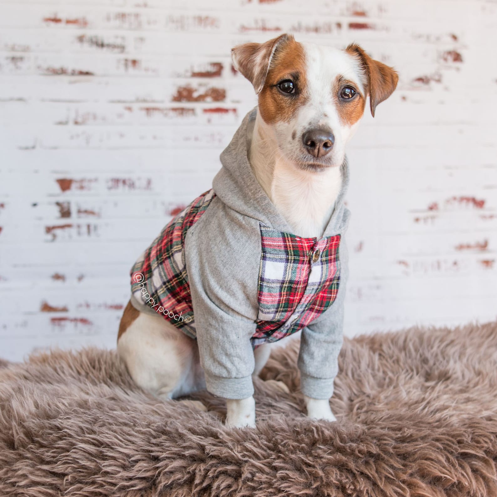 Original Flannel Dog hoodie Dog jacket Dog clothing Puppy Etsy