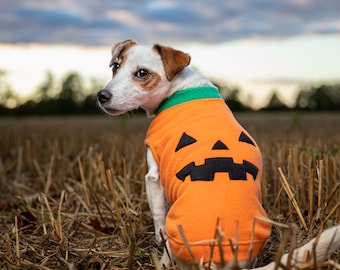 Pumpkin dog tanktop, Halloween dog sweater, Dog coat, Dog pullover, pumpkin dog coat, Custom fitted dog tank, Dog apparel, Small Big dog