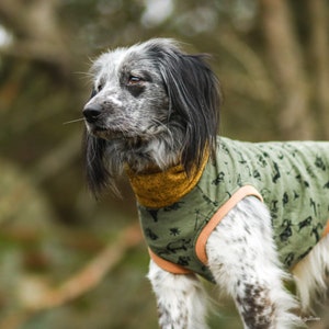 Dog coat, Dog clothes, Warm dog hoodie, Dog coat, Green and mustard dog sweater, Dog Hoodie, Custom tailored dog clothes, dog jammies, PJs image 7