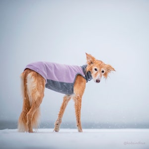 Made-to-measure dog fleece sweater, Dog Pullover, Handmade Dog Jacket, Dock Jacket, Dog coat, Dog pullover, Your custom colours