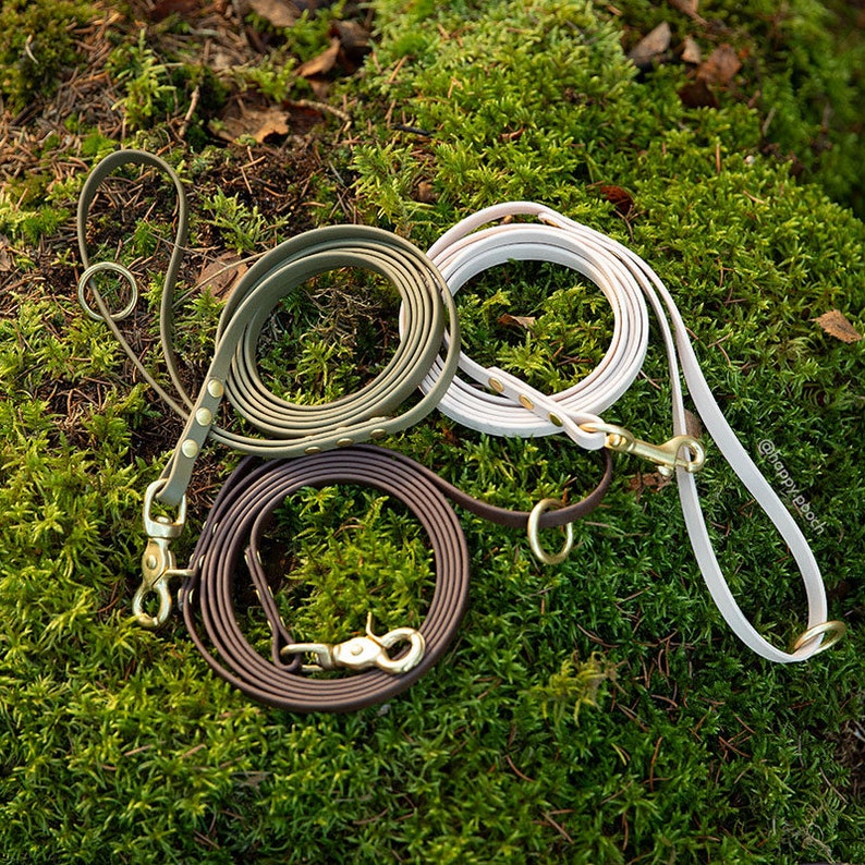 Biothane Dog Leash: Waterproof Vegan Leather with Brass Hardware image 9
