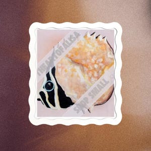 CANVAS PRINT: &quot;Peaches” Neutral Angelfish Side Profile Painting - Painted by Small Artist - 8X8, 12X12, 16X16, 20X20 Available Sizes