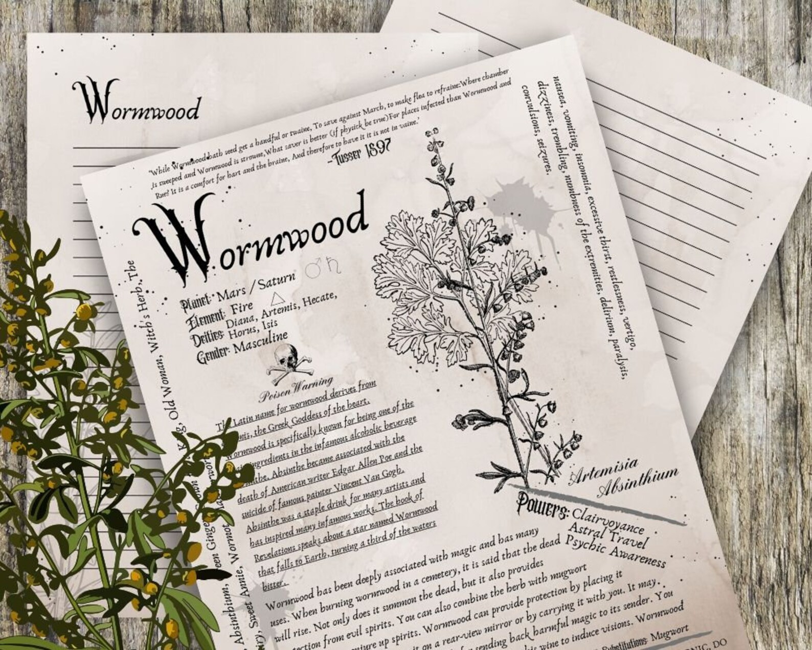 Wormwood- Grimoire Printable, Book of Shadows Printable, Poisonous ...