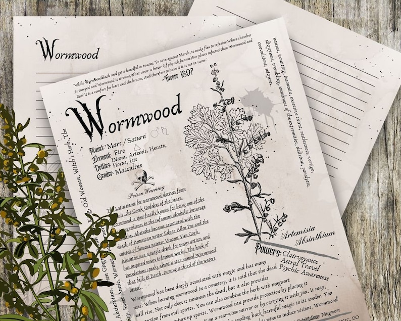 Wormwood Grimoire Printable Book of Shadows Printable - Etsy Canada