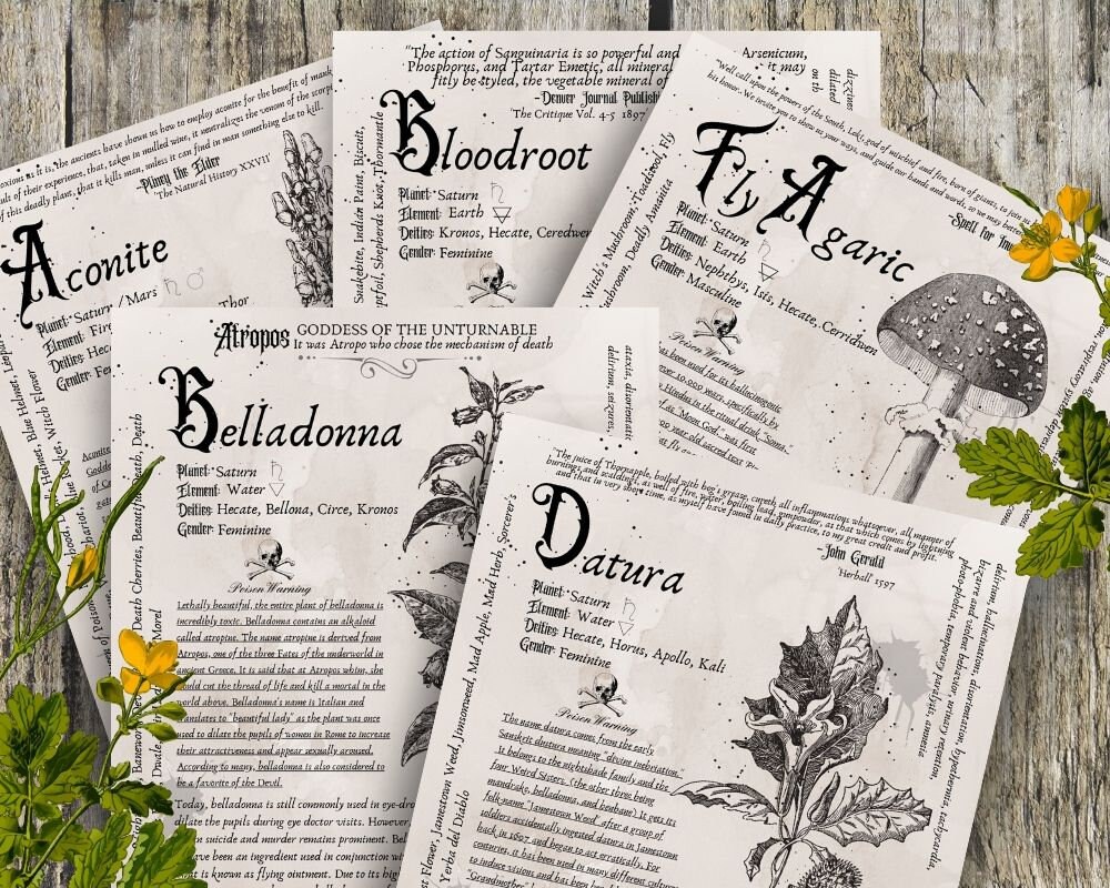 The Ultimate Poisonous Herbs Collection Grimoire Printable | Etsy