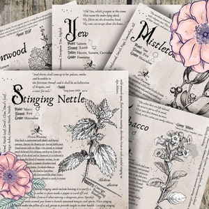 Vol. 4 Grimoire Printable, Book of Shadows Printable, Poisonous Herbs, Wiccan, Witch, Witchcraft, The Poisonous Herb Collection