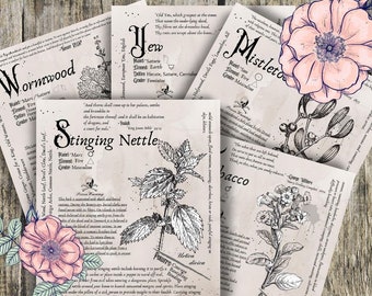 Vol. 4 Grimoire Printable, Book of Shadows Printable, Poisonous Herbs, Wiccan, Witch, Witchcraft, The Poisonous Herb Collection