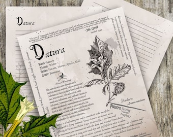 Datura- Grimoire Printable, Book of Shadows Printable, Poisonous Herbs, Wiccan, Witch, Witchcraft, The Poisonous Herb Collection