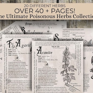 The Ultimate Poisonous Herbs Collection- Grimoire Printable, Book of Shadows Printable, Poisonous Herbs, Wiccan, Witch, Witchcraft